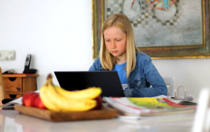 Reasons Why Traditional Learning Is Better Than Online Learning
